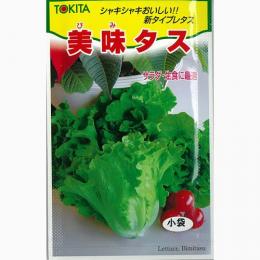 西洋野菜 種 【 美味タス 】 種子 小袋（約20ml） （ 種 野菜 野菜種子 野菜種 ）