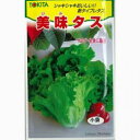 西洋野菜 種 【 美味タス 】 種子 小袋(約20ml) ( 種 野菜 野菜種子 野菜種 )