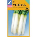 大根 種 【 YRおでん 】 種子 2dl ( 種 野菜 野菜種子 野菜種 )