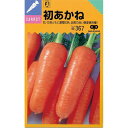 にんじん 種 【 初あかね 】 種子 1万粒コートL ( 種 野菜 野菜種子 野菜種 )