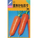 にんじん 種 【 夏あかね 】 種子 1万粒コートL ( 種 野菜 野菜種子 野菜種 )