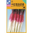 カブ 種 【 べにむらさき 】 種子 小袋(約20ml) ( 種 野菜 野菜種子 野菜種 )