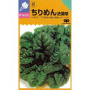 ホウレンソウ 種 【 ちりめんアップシードM3万粒 】 種子 3万粒 ( 種 野菜 野菜種子 野菜種 )