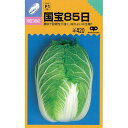 白菜 種  種子 小袋（約1．8ml） （ 種 野菜 野菜種子 野菜種 ）
