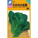 小松菜 種 【わかな】 2dl ( 種 野菜 野菜種子 野菜種 )