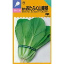 【 強力おたふく山東菜 】 種子 2dl ( 種 野菜 野菜種子 野菜種 )