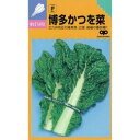 【 博多かつを菜 】 種子 小袋(約2dl) ( 種 野菜 野菜種子 野菜種 )