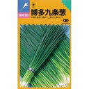 ネギ 種 【 博多九条 】 種子 小袋(約20ml) ( 種 野菜 野菜種子 野菜種 )