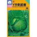 キャベツ 種 【 YR冬武者 】 種子 5千粒コートL ( 種 野菜 野菜種子 野菜種 )