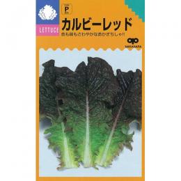 葉菜類 種 【 カルビーレッド 】 小袋 1.5ml 葉菜類の種 