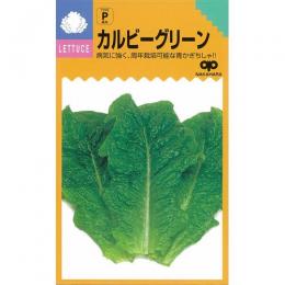 レタス・ちしゃ葉 種 【 カルビーグリーン 】 小袋 1.5ml レタス・ちしゃ葉の種 