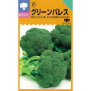 ブロッコリー 種 【 グリーンパレス 】 種子 20ml ( 種 野菜 野菜種子 野菜種 )