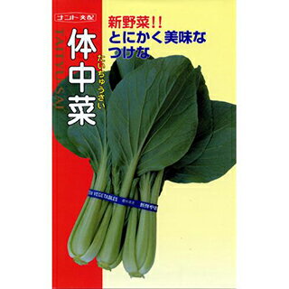 漬け菜 種 【 ハオチィ菜 】 種子 小袋（約5ml） （ 種 野菜 野菜種子 野菜種 ）