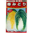 白菜 種 【 寒みどり 】 種子 小袋（約100粒） （ 種 野菜 野菜種子 野菜種 ） その1