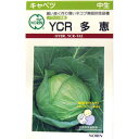 キャベツ 種 【 YCR多恵 】 種子 小袋(約100粒) ( 種 野菜 野菜種子 野菜種 )