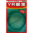 キャベツ 種 【 YR藍宝 】 種子 小袋(約100粒) ( 種 野菜 野菜種子 野菜種 )