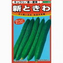 きゅうり 種 【新ときわ】 20ml （ 種 野菜 野菜種子 野菜種 ）