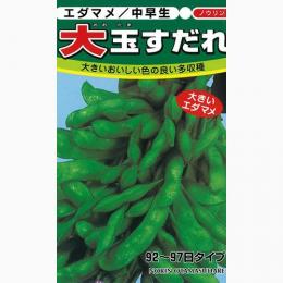 樂天商城 - 枝豆 種 【 大玉すだれ 】 種子 1L （ 種 野菜 野菜種子 野菜種 ）