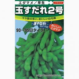 樂天商城 - 枝豆 種 【 玉すだれ2号 】 種子 小袋（約1dl） （ 種 野菜 野菜種子 野菜種 ）