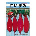 大根 種 【 紅かがみ 】 種子 2dl缶 ( 種 野菜 野菜種子 野菜種 )