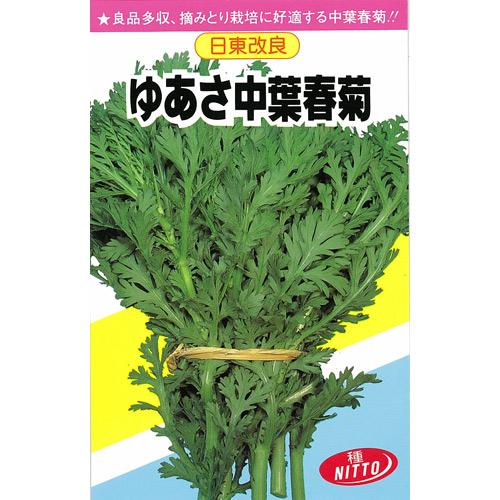 春菊 種 【 ゆあさ中葉春菊 】 種子 小袋（約50ml） （ 種 野菜 野菜種子 野菜種 ）のサムネイル