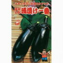なす 種 【浅漬一番】 10ml ( 種 野菜 野菜種子 野菜種 )