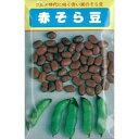そら豆 種 【越前赤そらまめ】 小袋(約10粒) ( 種 野菜 野菜種子 野菜種 )