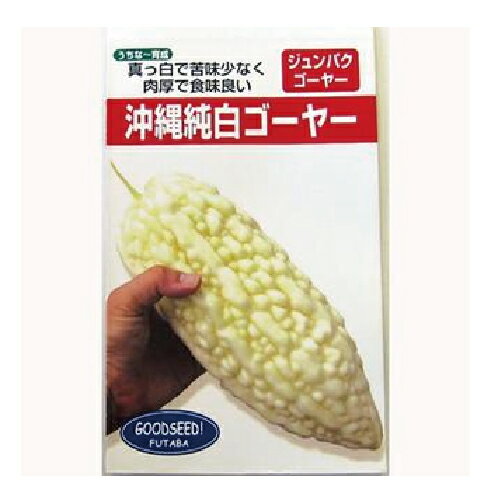 楽天【菜園くらぶ】家庭菜園の専門店ゴーヤ 種 【沖縄純白ゴーヤー】 1L （ 種 野菜 野菜種子 野菜種 ）