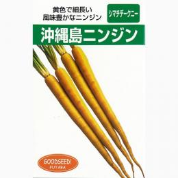 にんじん 種 【 沖縄島ニンジン 】 種子 小袋（約1dl） （ 種 野菜 野菜種子 野菜種 ニンジン ）