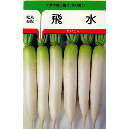 大根 種 【 飛水 】 種子 小袋（約9ml） （ 種 野菜 野菜種子 野菜種 ）