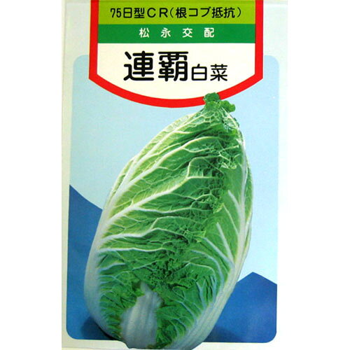 Other - 白菜 種 【 連覇 】 種子 小袋（約1．2ml） （ 種 野菜 野菜種子 野菜種 ）