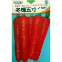 にんじん 種 【 冬輝五寸 】 種子 小袋(約6ml) ( 種 野菜 野菜種子 野菜種 )