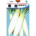 大根 種 【 春総(はるそう) 】 種子 小袋(約2ml) ( 種 野菜 野菜種子 野菜種 )
