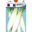 大根 種 【 春総（はるそう） 】 種子 小袋（約2．5ml) （ 種 野菜 野菜種子 野菜種 ）