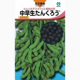 樂天商城 - 枝豆 種 【 中早生たんくろう 】 種子 小袋（約20ml） （ 種 野菜 野菜種子 野菜種 ）