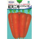 にんじん 種 【 紅天二号 】 種子 小袋(コート約700粒) ( 種 野菜 野菜種子 野菜種 )