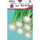 カブ 種 【 京一(極早生) 】 種子 小袋(約3ml) ( 種 野菜 野菜種子 野菜種 )