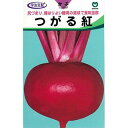 カブ 種 【 つがる紅 】 種子 小袋(約2.5ml) ( 種 野菜 野菜種子 野菜種 )