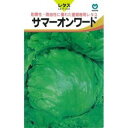 レタス 種 【 サマーオンワード 】 種子 小袋(約0.5ml) ( 種 野菜 野菜種子 野菜種 )
