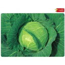 キャベツ 種 【 YR早どり錦秋 】 種子 小袋 ( 種 野菜 野菜種子 野菜種 )