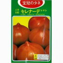 大玉トマト 種 【セレナーデ】 1ml ( 種 野菜 野菜種子 野菜種 )