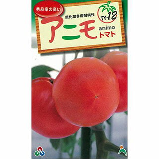 楽天【菜園くらぶ】家庭菜園の専門店大玉トマト 種 【F1アニモ】 1,000粒 （ 種 野菜 野菜種子 野菜種 ）