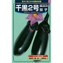 なす 種 【千黒2号】 20ml ( 種 野菜 野菜種子 野菜種 )