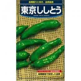 メール便で10袋まで同梱できます。 種子と責任種子は努めて純良なものをご用意しておりますが、商品の性質上100%の純度や発芽は望めません。商品の包装等に記載のある、発芽試験結果を満たした商品をお届けいたします。発芽は播種後の条件により結果が異なるため、温度や水分などを品目ごとに適した条件下で管理してください。不適条件下では発芽しないことがあり、また100%同一ではなく、まれに異株が出る場合がございます。種子・苗などについて、発芽後および植えつけ後の栽培条件や天候などによって結果が異なりますので、商品の生長後や収穫物に対する補償はいたしかねます。また商品の性質上、結果不良につきましてはお買い上げ金額の範囲内とさせていただきます。(お客様の栽培管理や気象条件による結果不良につきましては、その責任を負いかねます)独自に加工されたものや、お届け後に有効期限を超えられたものにつきましては責任を負いかねます。野菜などの収穫物については、品種の特性や栽培条件などにより生育に差が生じることがあり、収穫物のサイズ、重量、味などは掲載表現と異なる場合がございます。東京ししとう 地域 蒔き時期（露地） 蒔き時期(ハウス・トンネル等） 寒地・冷涼地 − − 中間地 2月中旬頃 8月盆過ぎ 暖地 2月中旬頃 8月盆過ぎ 小袋種子の内容量表記について農作物である商品の特性上、小袋パッケージの商品に関しましては、販売時期により、内容量が変更になる場合があります。商品名に内容量が記載されている場合がございますが、あくまで目安であり、1mlほど前後するものとお考え下さい。また、内容量が増減したことによる価格の変更もありません。あらかじめご了承いただいた上で、ご注文をお願いいたします。
