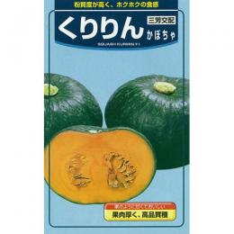 楽天市場 かぼちゃ 種 くりりん 8粒 種 野菜 野菜種子 野菜種 菜園くらぶ 家庭菜園の専門店