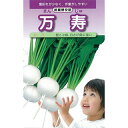 カブ 種 【 万寿小蕪 】 種子 コート5千粒 ( 種 野菜 野菜種子 野菜種 )