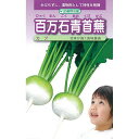 カブ 種 【 百万石青首蕪 】 種子 小袋(約3ml) ( 種 野菜 野菜種子 野菜種 )