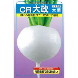 カブ 種 【 CR大政大蕪 】 種子 1dl缶 （ 種 野菜 野菜種子 野菜種 ）