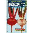 カブ 種  種子 小袋（約20ml) （ 種 野菜 野菜種子 野菜種 ）