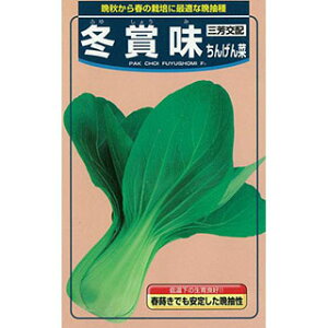 ちんげん菜 種 【 冬賞味 】 種子 小袋（約3ml) （ 種 野菜 野菜種子 野菜種 ）